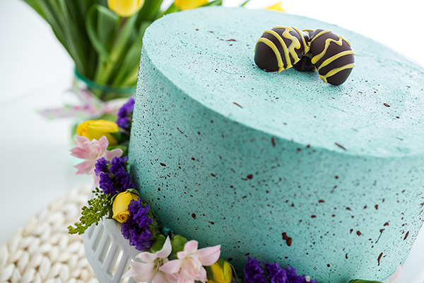 8" Robbin's Egg Cake